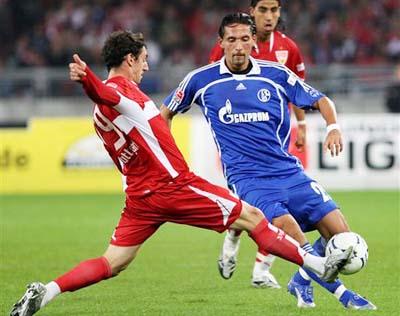 春暖花开 春暖花开