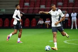 毛球训练的 毛球训练的